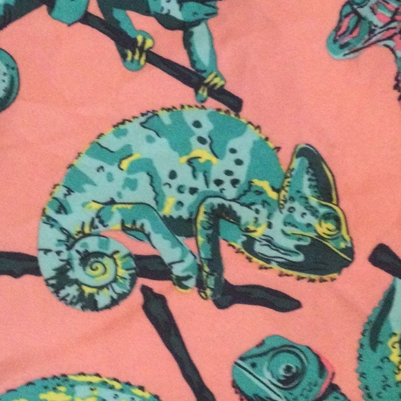 Swim trunks size 2 or 3X - Picture 5 of 6